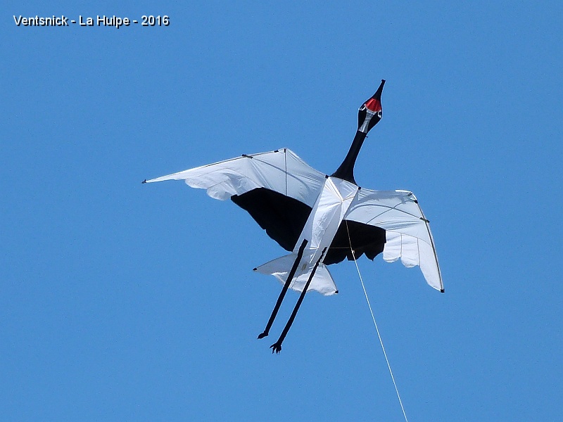 P1190167.JPG - Christian Marbais fait voler cette grue d'une stabilidé déroutante compte tenu du vent très irrégulier.