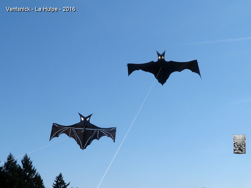 P1190208.JPG - La Chauve-souris de Jean Gadomski rejoint la nôtre.