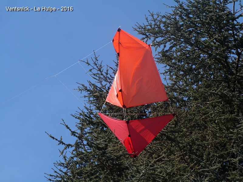 P1190224.JPG - ... qui s'échoue dans un arbre.