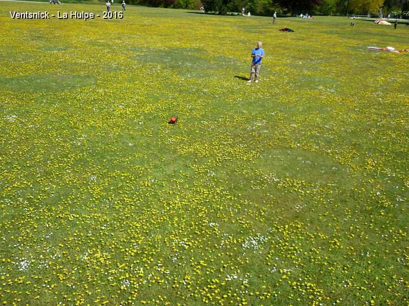 P1220635.JPG - ... retour prématuré au sol : une avarie du cerf-volant porteur ne permet pas de poursuivre la séance de prise de vues !