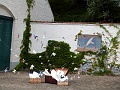 P1290040