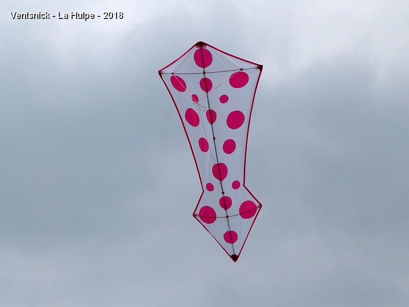 P1290006.JPG - Un hommage est rendu à Jean Gadomski qui nous a quitté, la couleur rose qu'il affectionnait particulièrement pour le décor de ses cerfs-volants  ...