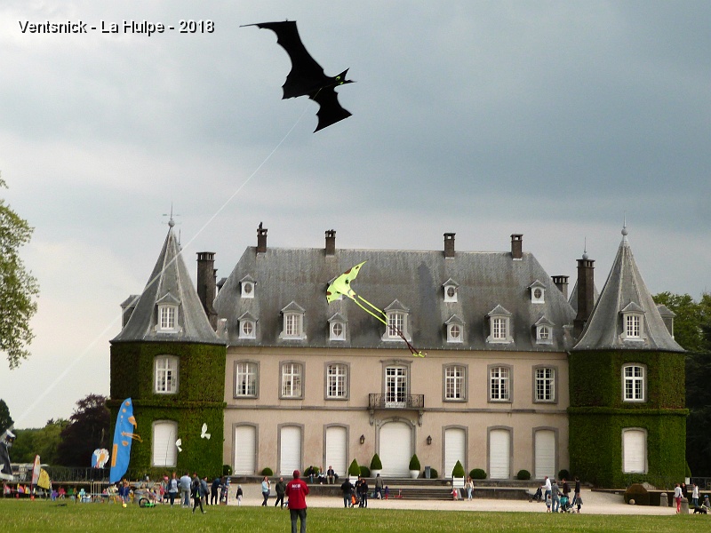 P1290088.JPG - ... un vol magique auprès du château ...