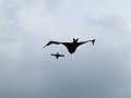 P1290086