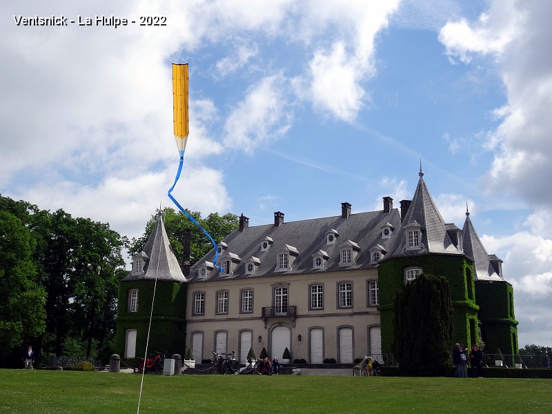 DSC09163.JPG - ... le vol de cerfs-volants a lieu sur les pelouses du château, ...