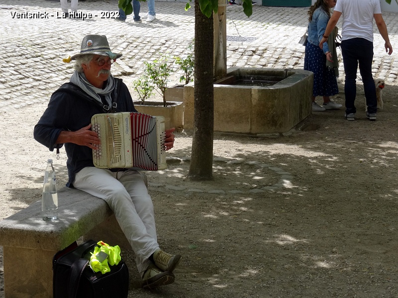 DSC09195.JPG - Une place ombragée accueille le public, un air d'accordéon enchante les oreilles, ...