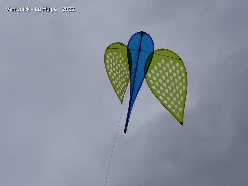 DSC09219.JPG - Notre ange tente une sortie mais le vent est trop violent pour sa frèle structure !