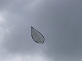DSC09146