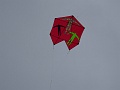 DSC09149