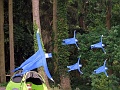 DSC09156