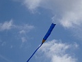 DSC09161