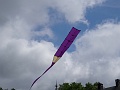 DSC09164