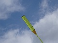 DSC09179