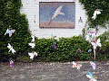 DSC09205