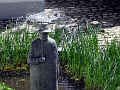 DSC09206