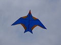 DSC09220