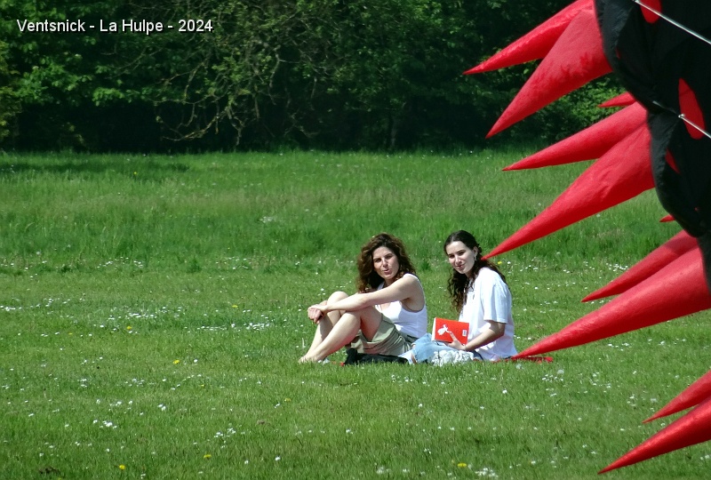 DSC04386.JPG - ... l'ambiance est familiale, les visiteurs se disséminent dans le parc du château.