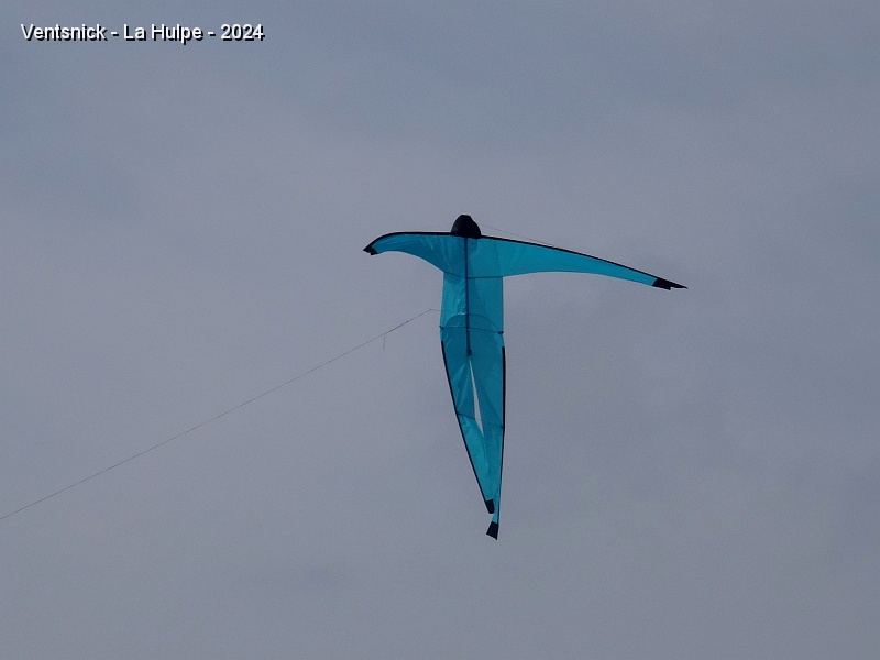 DSC04387.JPG - ... un autre est déjà dans le ciel, ...