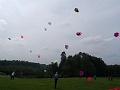 DSC04404