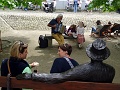 DSC04420