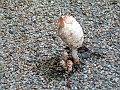 P1330793