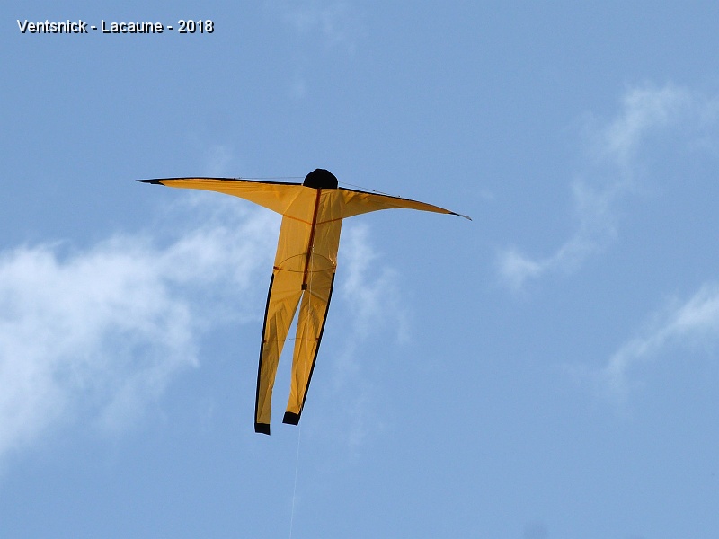 P1330642.JPG - Notre bonhomme sautille dans les airs ...