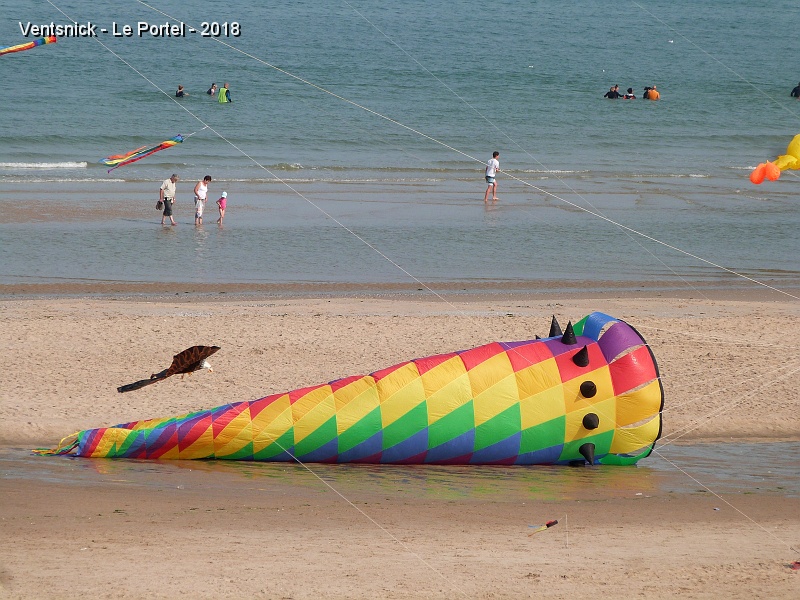 P1300156.jpg - ... cette manche à air et son porteur de Steve Goudeseune  subiront le même sort ! Seule la turbine a été retrouvée ! Pierre Millon perd lui-aussi un cerf-volant !