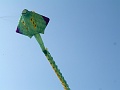 P1300135