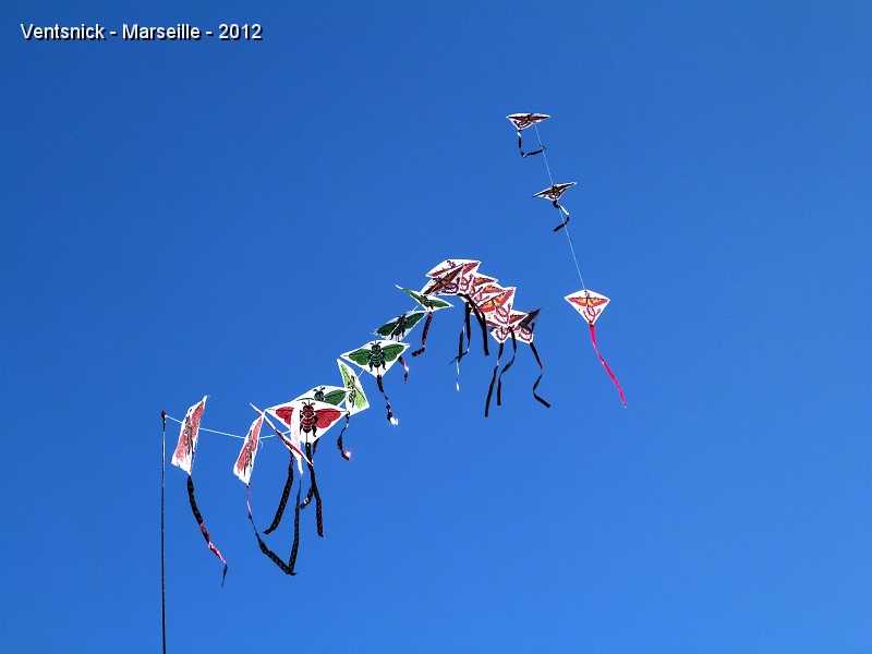 P1010438.JPG - ... train de cerfs-volants en papier et bambou ...