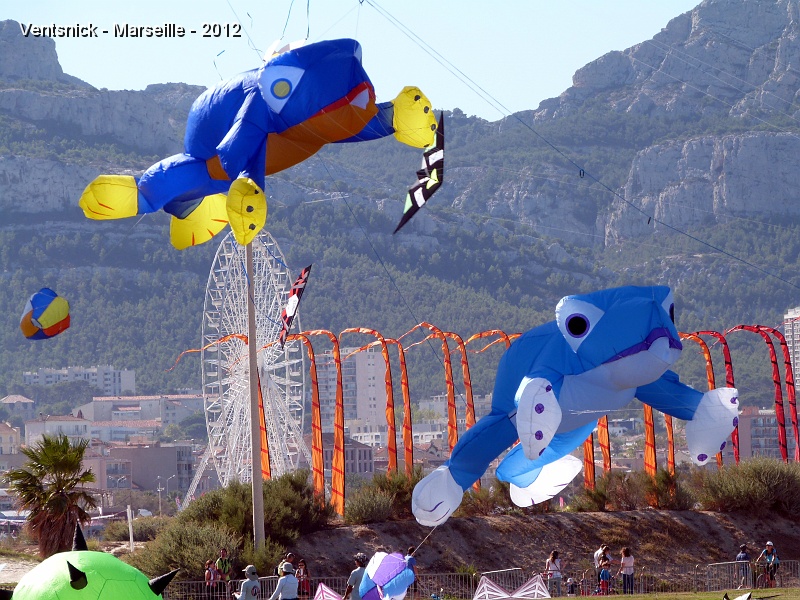 P1010331.JPG - ... nos grenouilles goûtent l'air de Marseille ...
