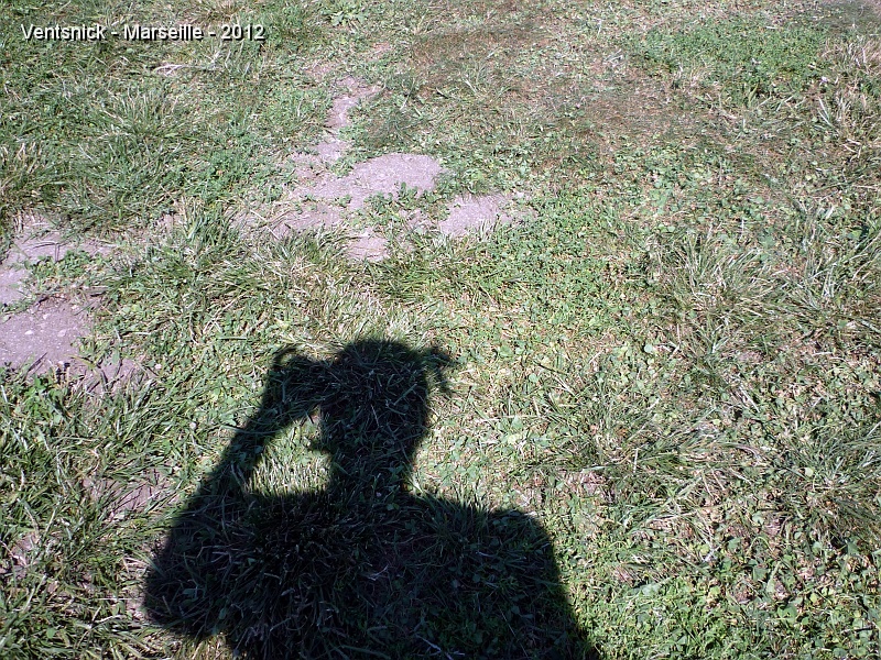 P1090264.JPG - Le vent est propice à la photo aérienne par cerf-volant ...