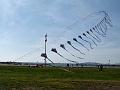 P1100555