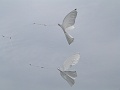 P1100742