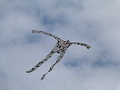 P1100762