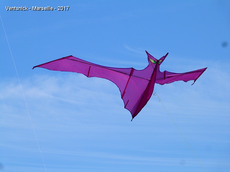 P1260292.JPG - ... son fils, Antoine, cette chauve-souris mauve ...