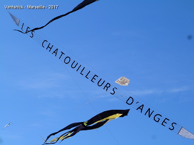 P1260387.JPG - Le Chatouilleurs d'Anges sont ici !