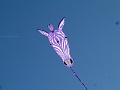 P1260242