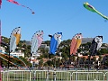 P1260258