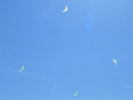 P1260262