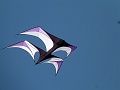 P1260286