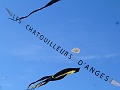 P1260387