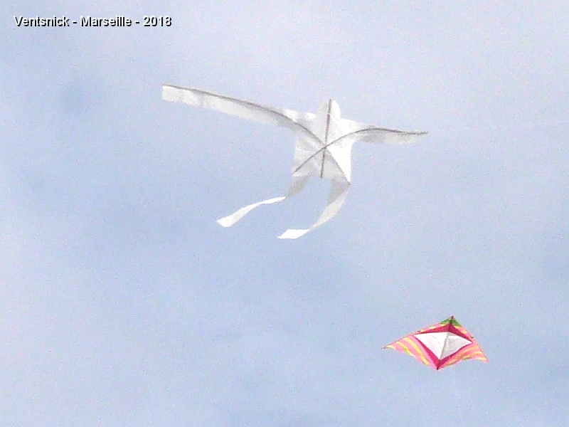 P1320139.JPG - ... le cerf-volant gambade vivement dans les airs ! ...