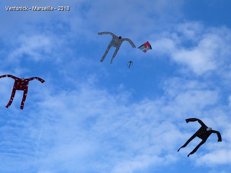 P1320157.JPG - ... les voiles de ces cerfs-volants sont en coton sérigraphié par leurs soins ! ...