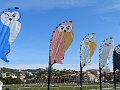 P1320021
