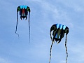 P1320039