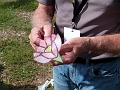 P1320046