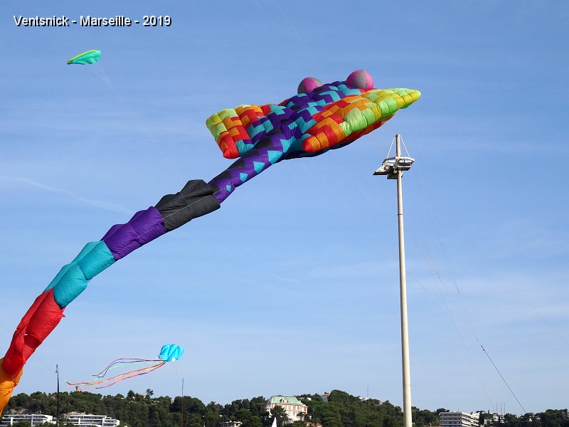DSC03134.JPG - Une raie Manta voit sa bride prise dans un lampadaire, un spectacle imprévu de sauvetage est offert aux curieux, à force de persévérence la grossse structure en sortira indemne, ...