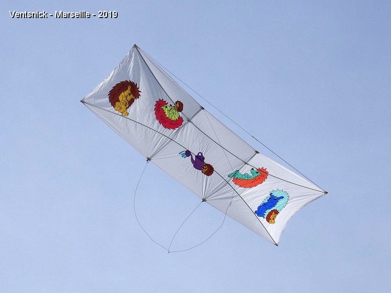 DSC03148.JPG - Le vent est favorable aux Poster Kite, Patrick L'Higuinen lance le sien, ...