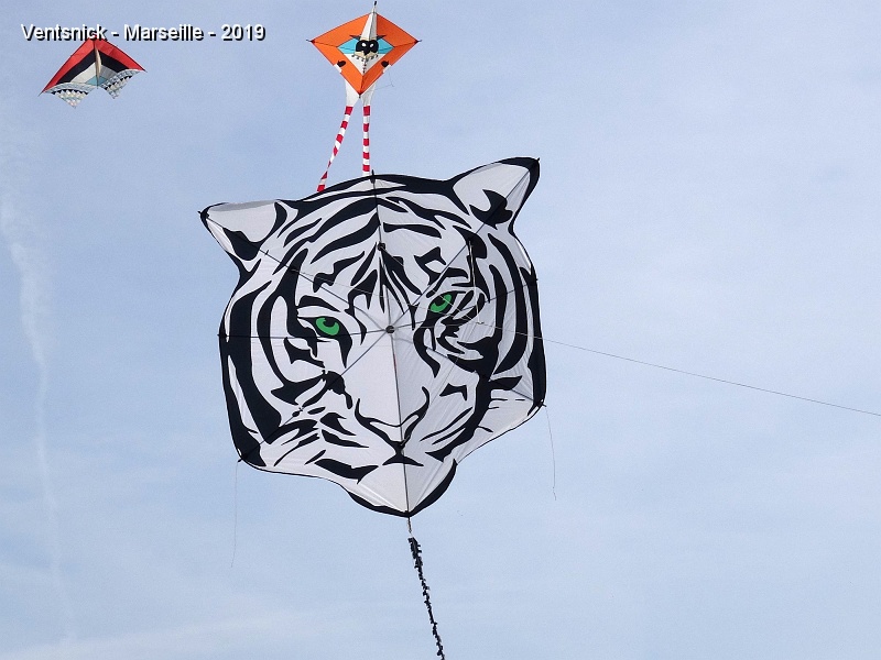 DSC03168.JPG - La tête de tigre de Bas Vreeswijk vous regarde dans les yeux, ...