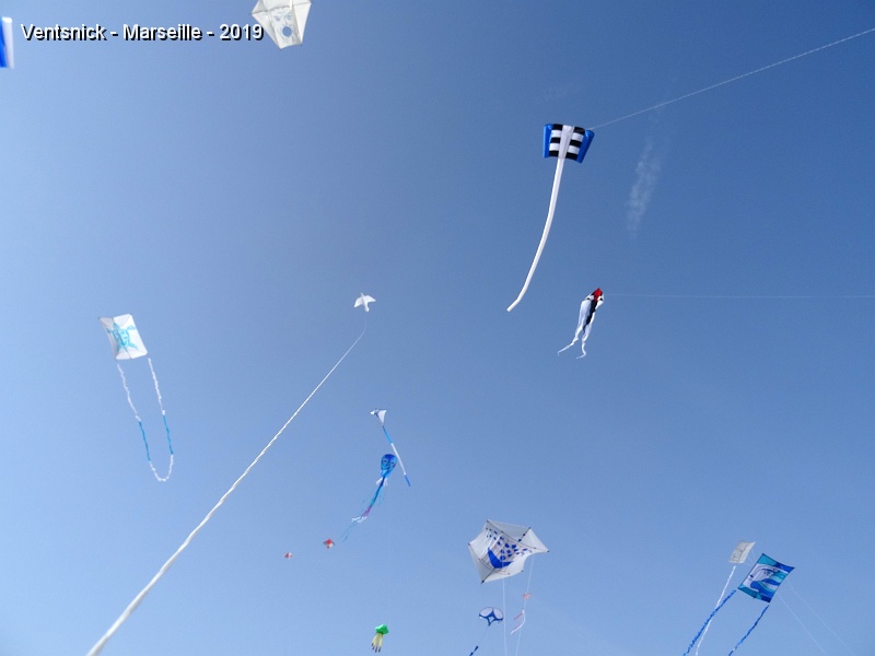 DSC03426.JPG - ... bien d'autres cerfs-volistes jouent le jeu !